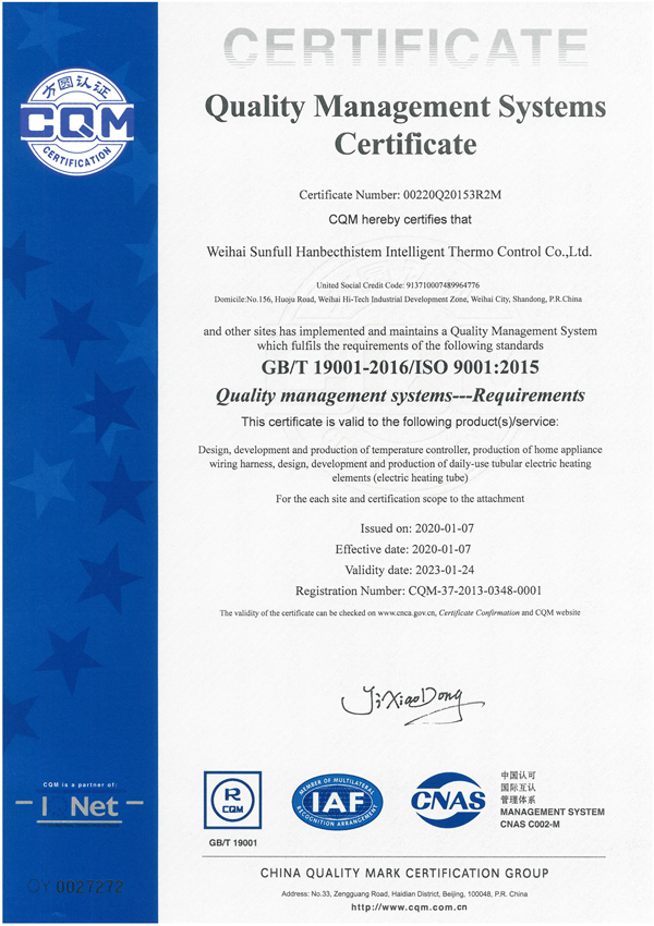 ISO-9001-સનફુલ-1